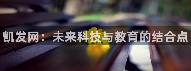 美狮贵宾会官网版：凯发网：未来科技与教育的结合点