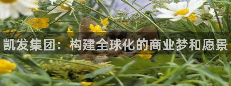 美狮贵宾会体育注册登录入口：凯发集团：构建全球化的商业梦和愿景