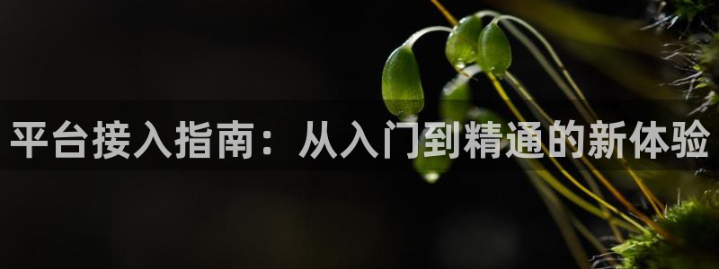 美狮贵宾会体育论坛：平台接入指南：从入门到精通的新体验