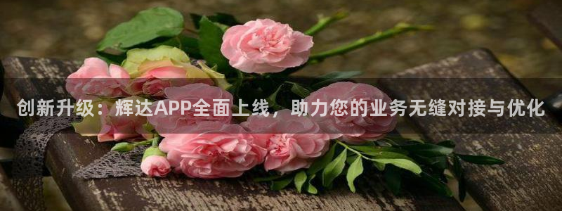 美狮贵宾会在线下载：创新升级：辉达APP全面上线，助力您的业务无缝对接与优化
