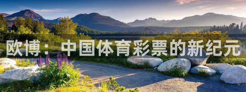 美狮贵宾会平台下载入口：欧博：中国体育彩票的新纪元