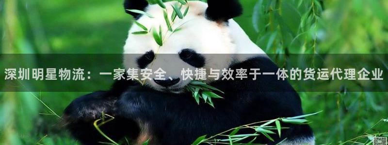 美狮贵宾会网站：深圳明星物流：一家集安全、快捷与效率于一体的货运代理企业