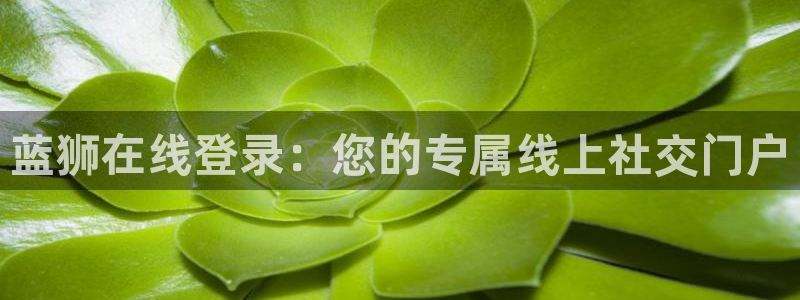 美狮贵宾会游app：蓝狮在线登录：您的专属线上社交门户