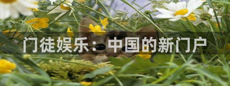 美狮贵宾会体育论坛：门徒娱乐：中国的新门户
