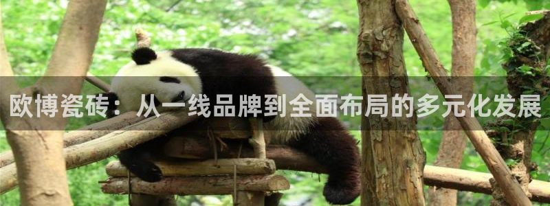美狮贵宾会注册平台：欧博瓷砖：从一线品牌到全面布局的多元化发展