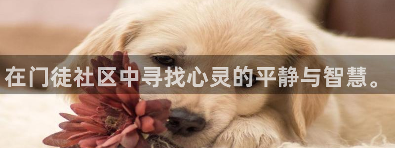 美狮贵宾会2平台：在门徒社区中寻找心灵的平静与智慧。