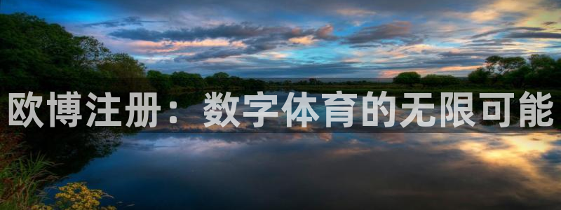 美狮贵宾会电子娱乐官网下载：欧博注册：数字体育的无限可能