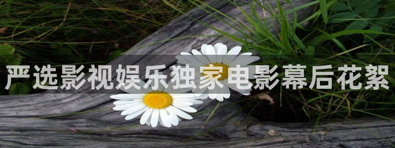 美狮贵宾会可靠吗：严选影视娱乐独家电影幕后花絮