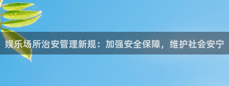 美狮贵宾会体育eon：娱乐场所治安管理新规：加强安全保障，维护社会安宁