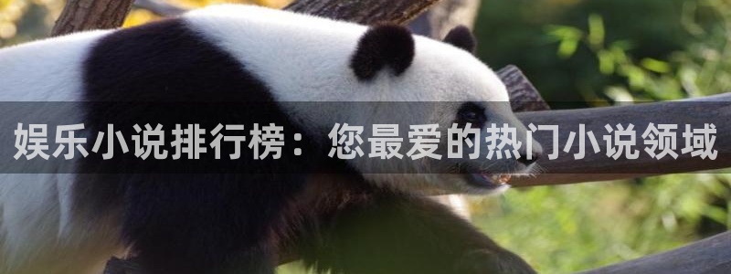 美狮贵宾会体育代理：娱乐小说排行榜：您最爱的热门小说领域
