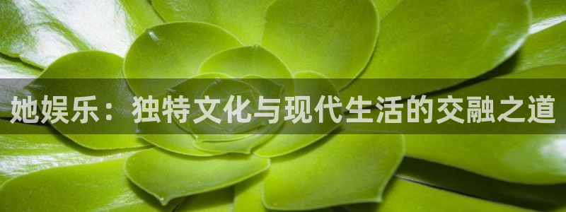 美狮贵宾会app下载：她娱乐：独特文化与现代生活的交融之道