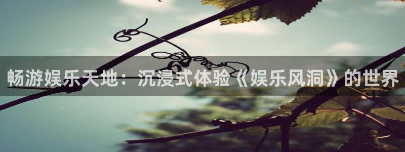 美狮贵宾会预测在线预测：畅游娱乐天地：沉浸式体验《娱乐风洞》的世界