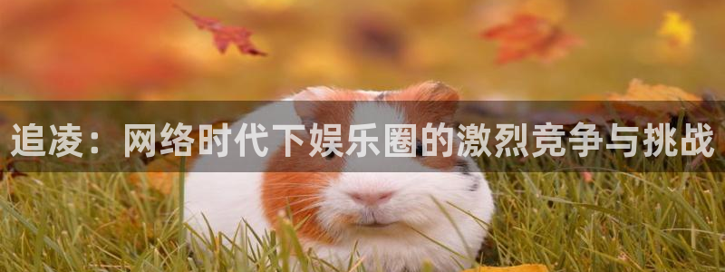 美狮贵宾会股份：追凌：网络时代下娱乐圈的激烈竞争与挑战
