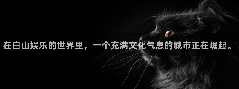 美狮贵宾会路线1：在白山娱乐的世界里，一个充满文化气息的城市正在崛起。
