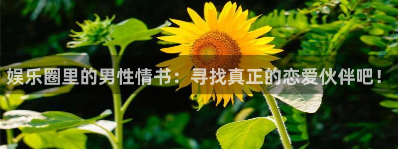 美狮贵宾会网站平台登录：娱乐圈里的男性情书：寻找真正的恋爱伙伴吧！