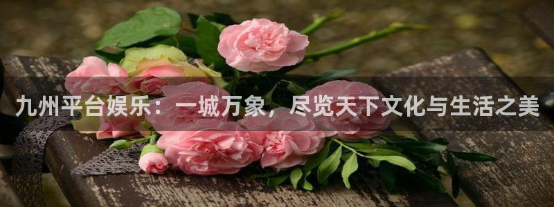 美狮贵宾会登录界面入口：九州平台娱乐：一城万象，尽览天下文化与生活之美